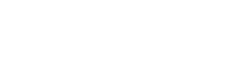 The Aesthetics Group logo